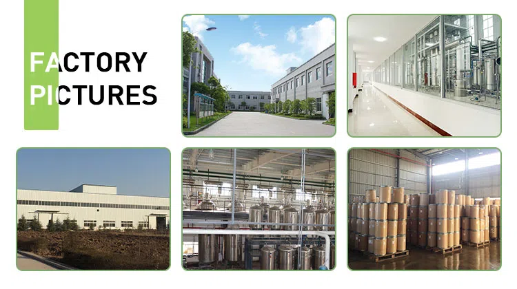 Factory picture