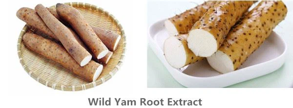 Wild Yam Root Powder