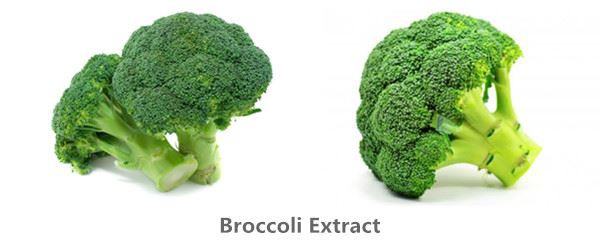Broccoli Extract
