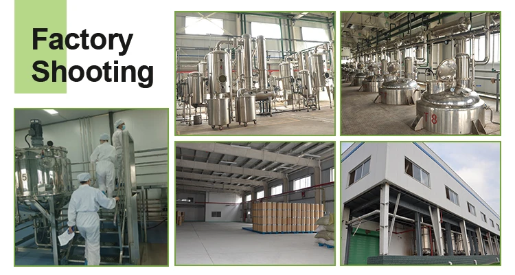 factory