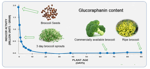 glucoraphanin