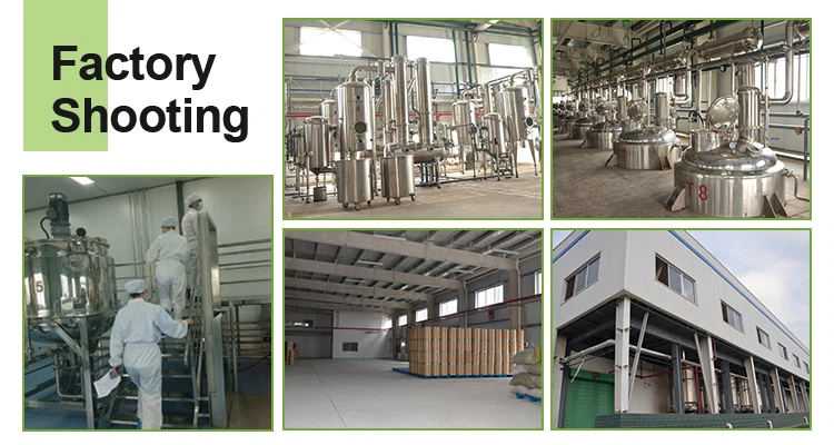 factory