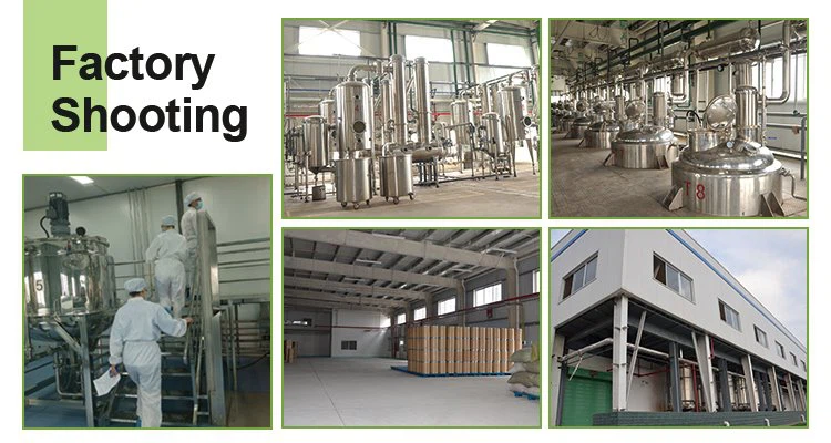 factory