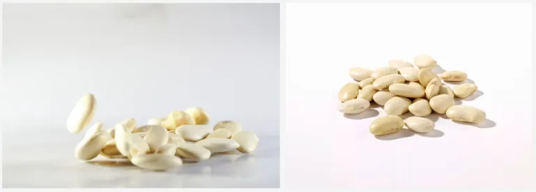 White kidney bean extract White kidney bean extract