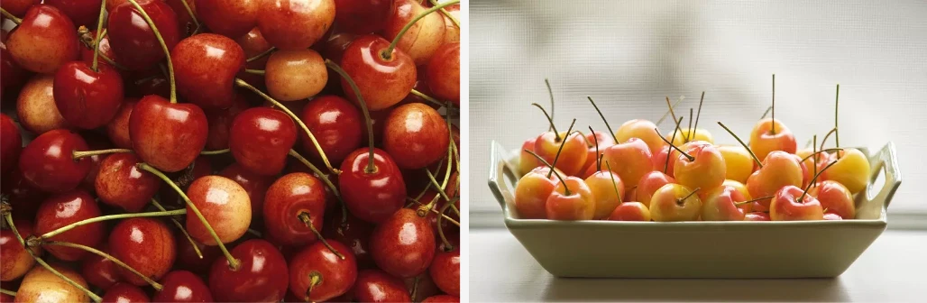 Acerola cherry Extract
