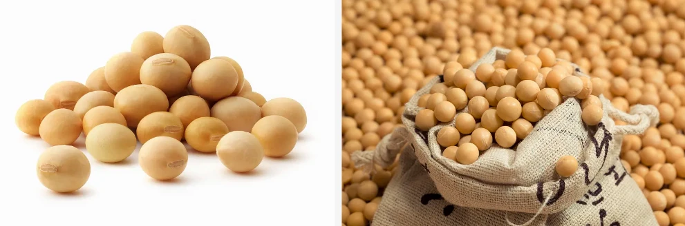 soy peptide