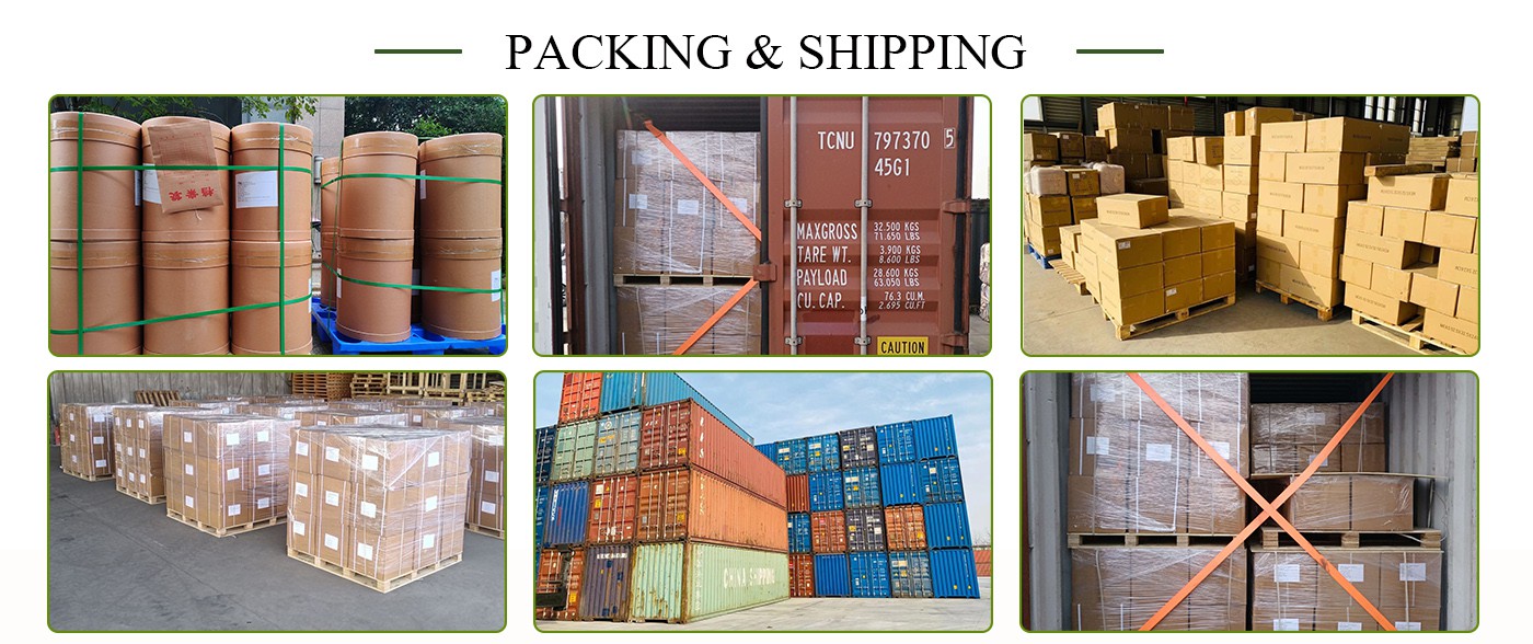 Payment & Shipping Methods