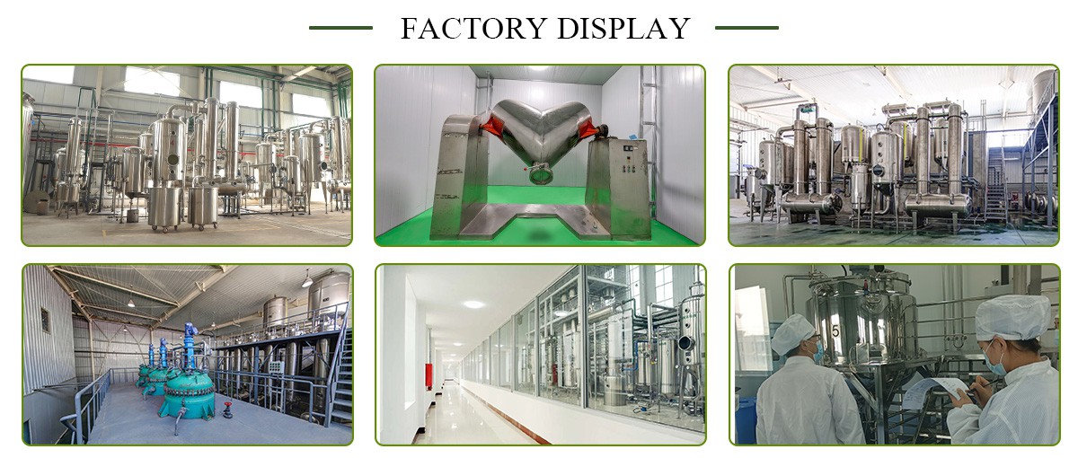 Factory Factory