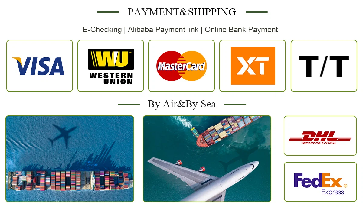 Payment&Shipping