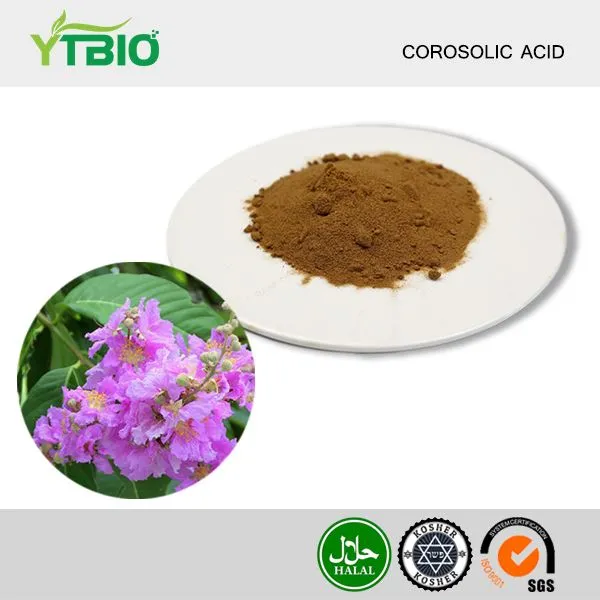 Corosolic Acid Powder