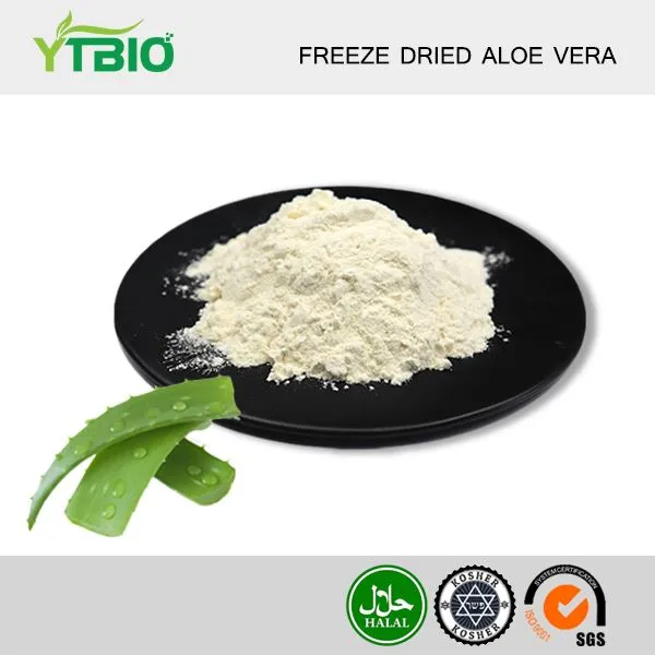 Freeze Dried Aloe Vera Powder