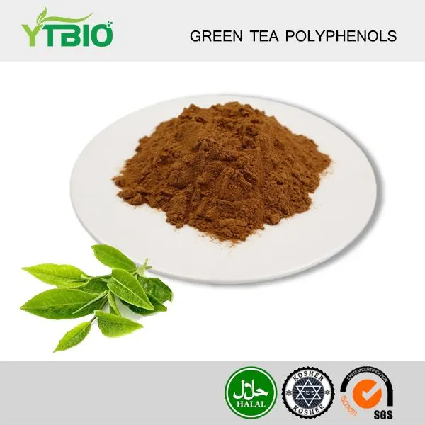 Green Tea Polyphenols
