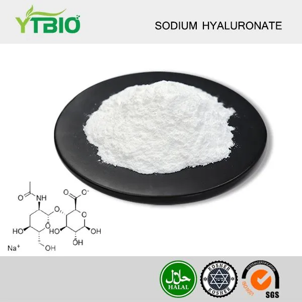 Sodium Hyaluronate Powder