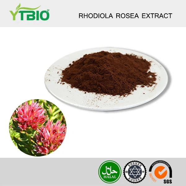 Rhodiola Rosea Extract Powder