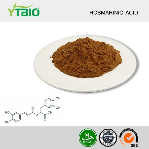 Rosmarinic Acid Powder