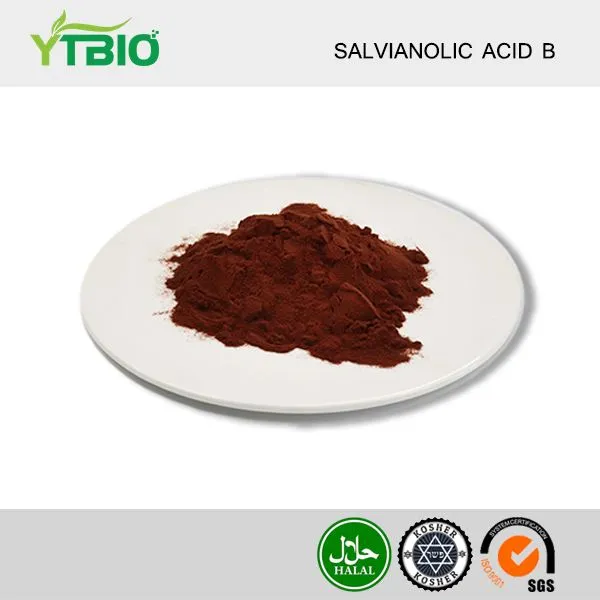 Salvianolic Acid B