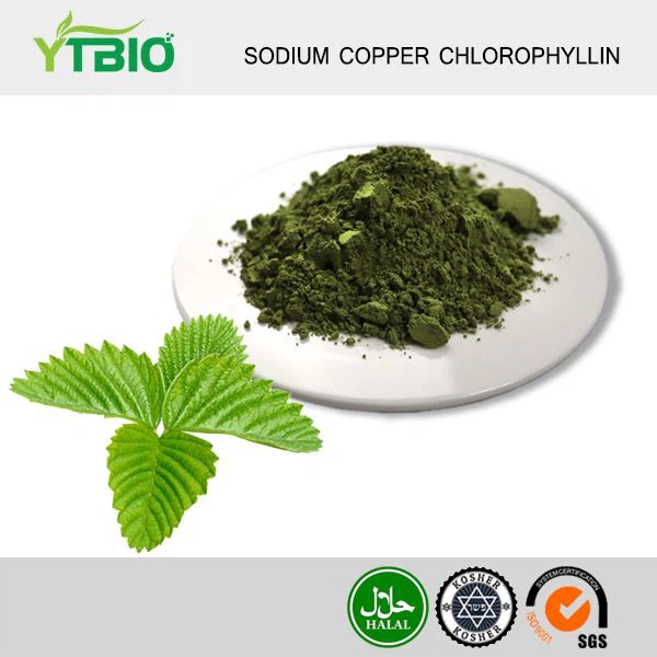 Sodium Copper Chlorophyllin Powder