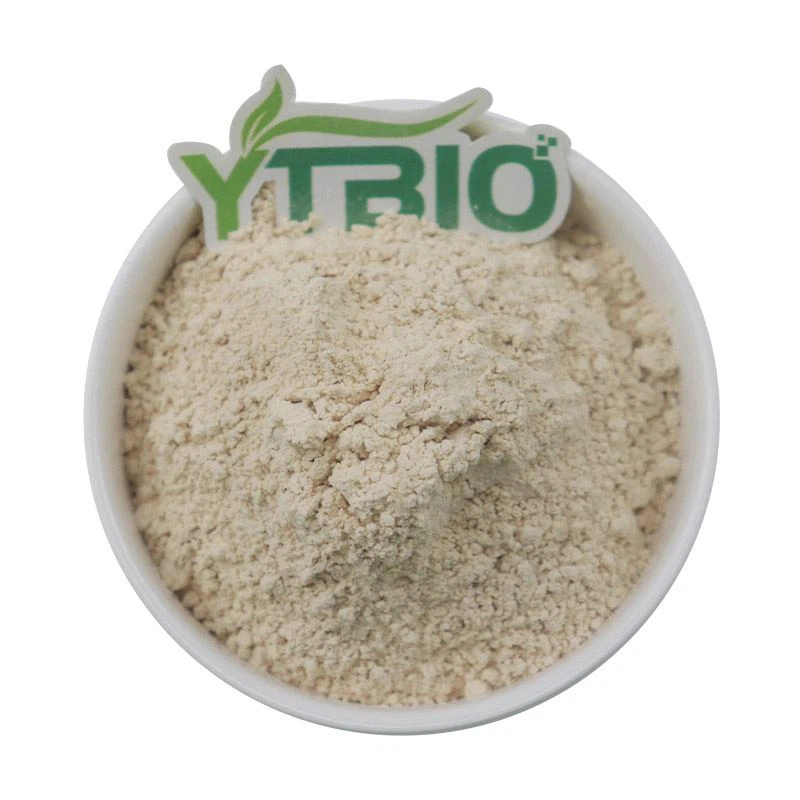 Global Organic Rice Protein Market