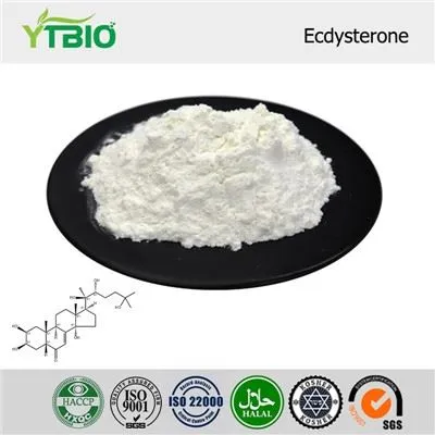 Ecdysterone Powder