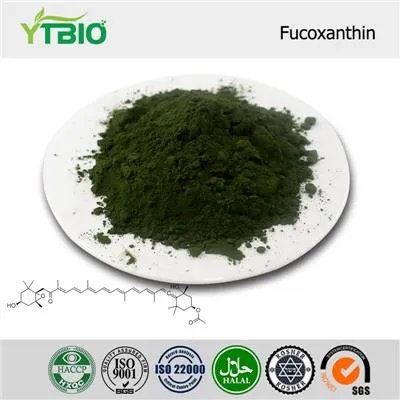 Fucoxanthin Powder