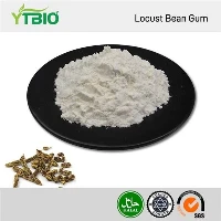 Locust Bean Gum Powder