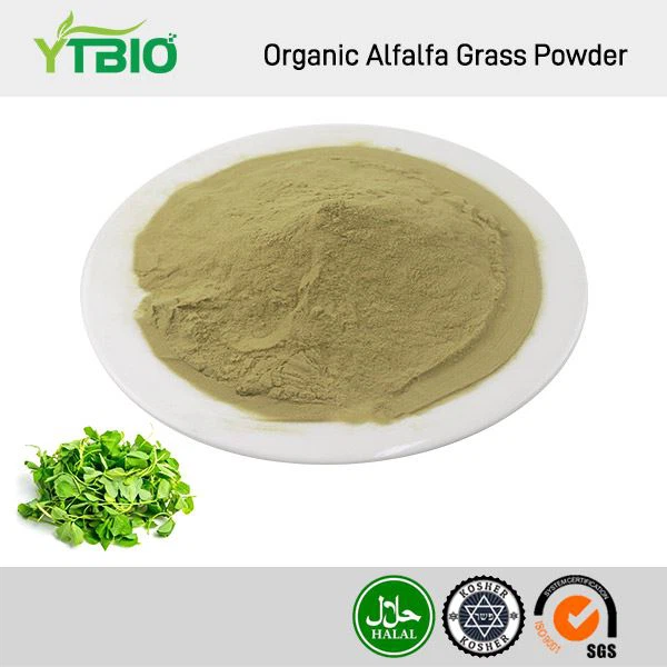 Organic Alfalfa Grass Powder