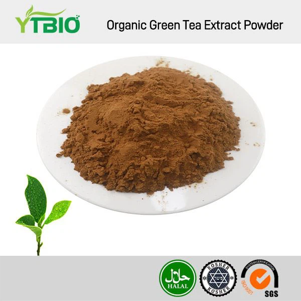 Organic Green Tea Extract Powder