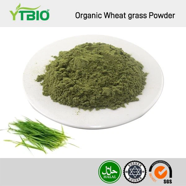 Organic Wheat Grass Powder