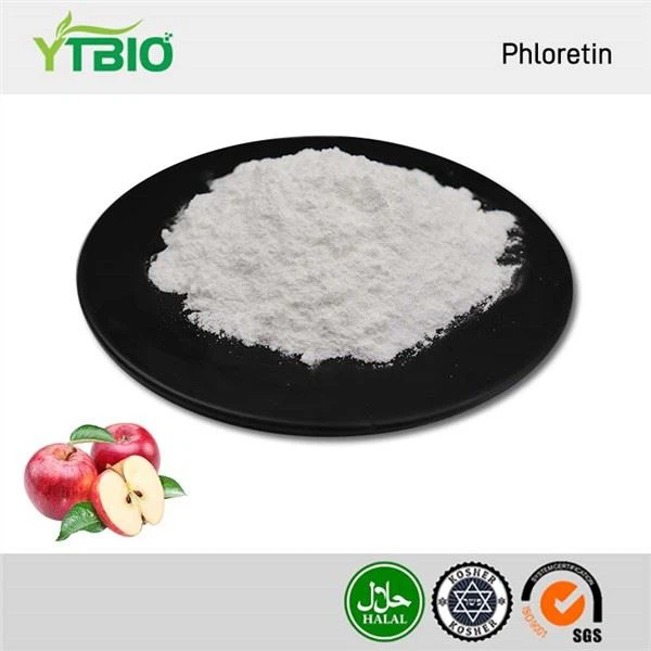 Phloretin Powder