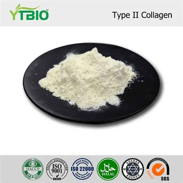 Type Ⅱ Collagen
