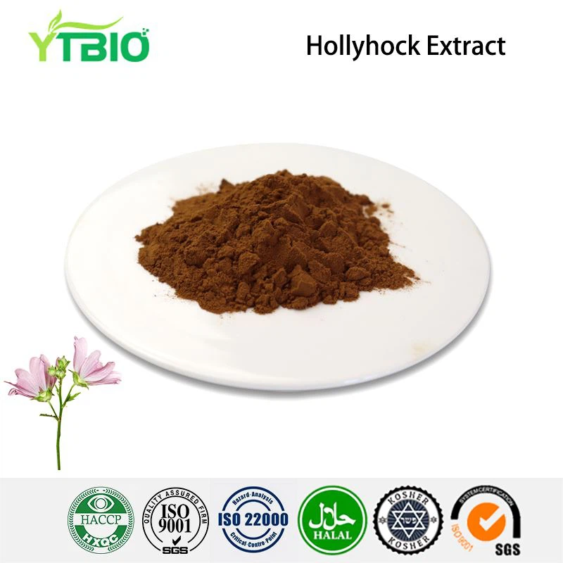 Hollyhock Extract
