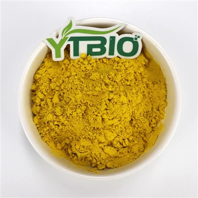 Does Berberine HCl Powder Reduce Belly Fat?