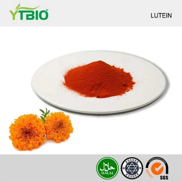 Lutein Powder