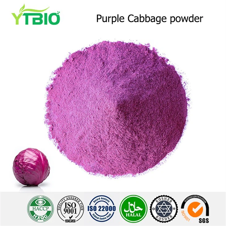 Purple Cabbage Powder