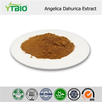 Angelica Dahurica Extract