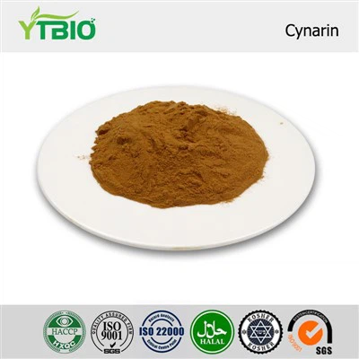 Artichoke Extract Cynarin