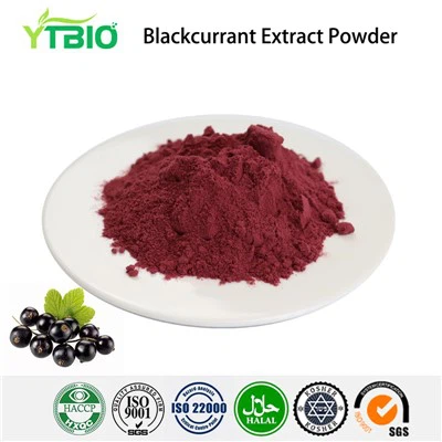 Blackcurrant Extract Powder