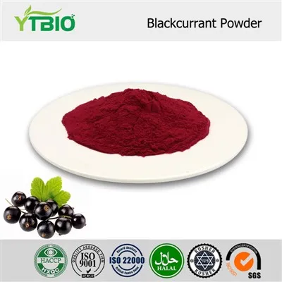 Blackcurrant Fruit Powder