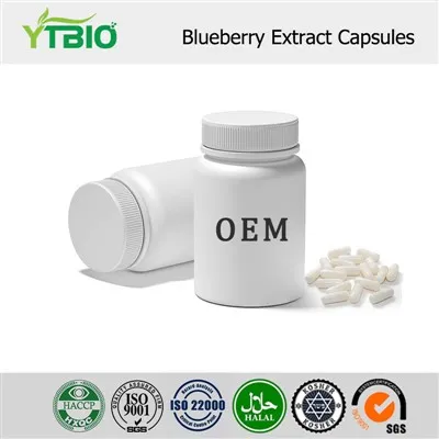 Blueberry Extract Supplement