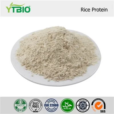 Bulk Rice Protein Powder