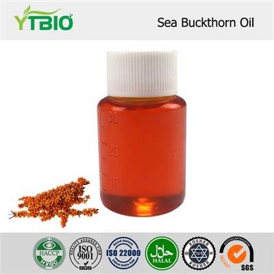 Bulk Sea Buckthorn Oil