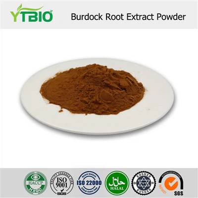 Burdock Root Extract Powder