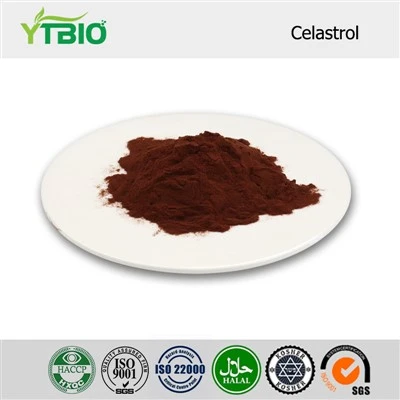 Celastrol Powder