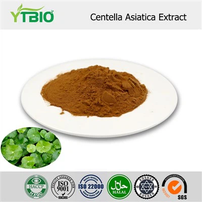 Centella Asiatica Extract Powder