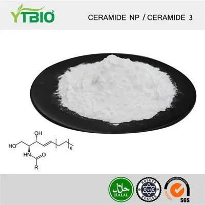 Ceramide Powder Bulk