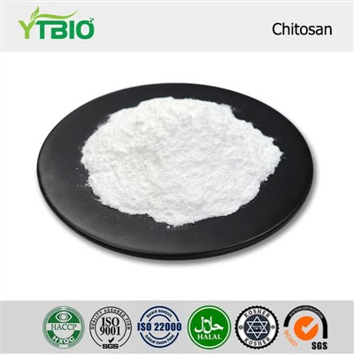 Chitosan Powder