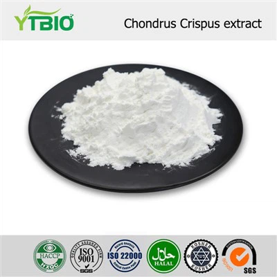 Chondrus Crispus Extract