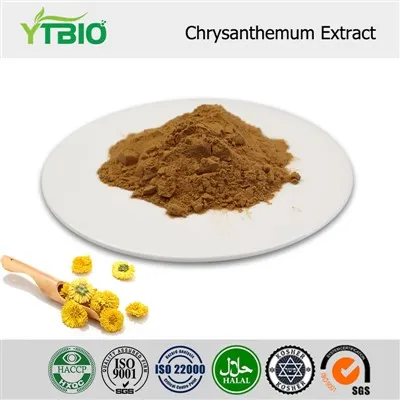 Chrysanthemum Extract