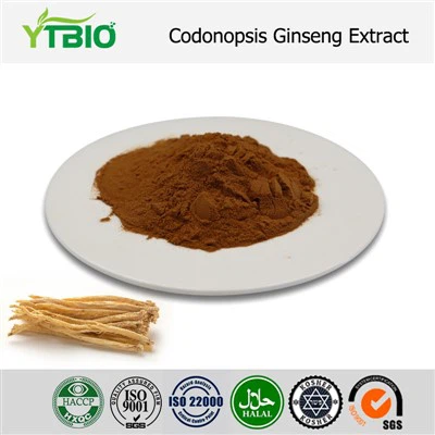 Codonopsis Extract