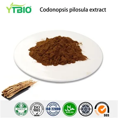 Codonopsis Pilosula Extract